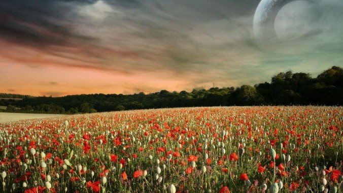 把《武林外传》中的打工人郭芙蓉放在现代，她能干长久吗？